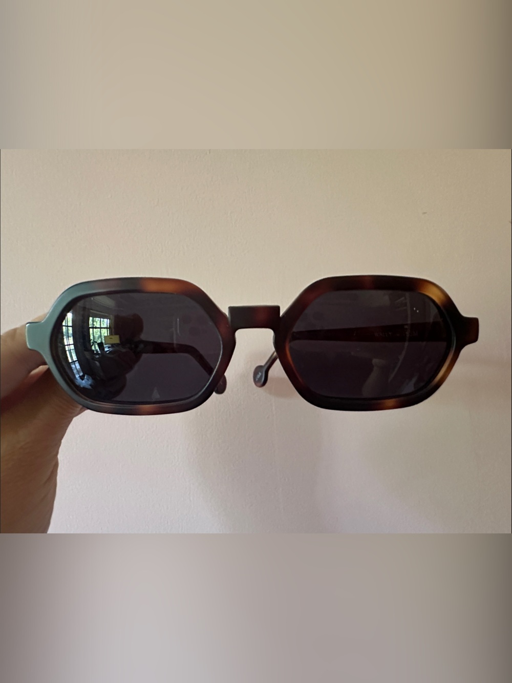 Vintage L.A. Eyeworks Wally M123 Tortoiseshell Geometric Sunglasses